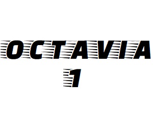 Oglinzi Skoda Octavia 1 an 1996-2010